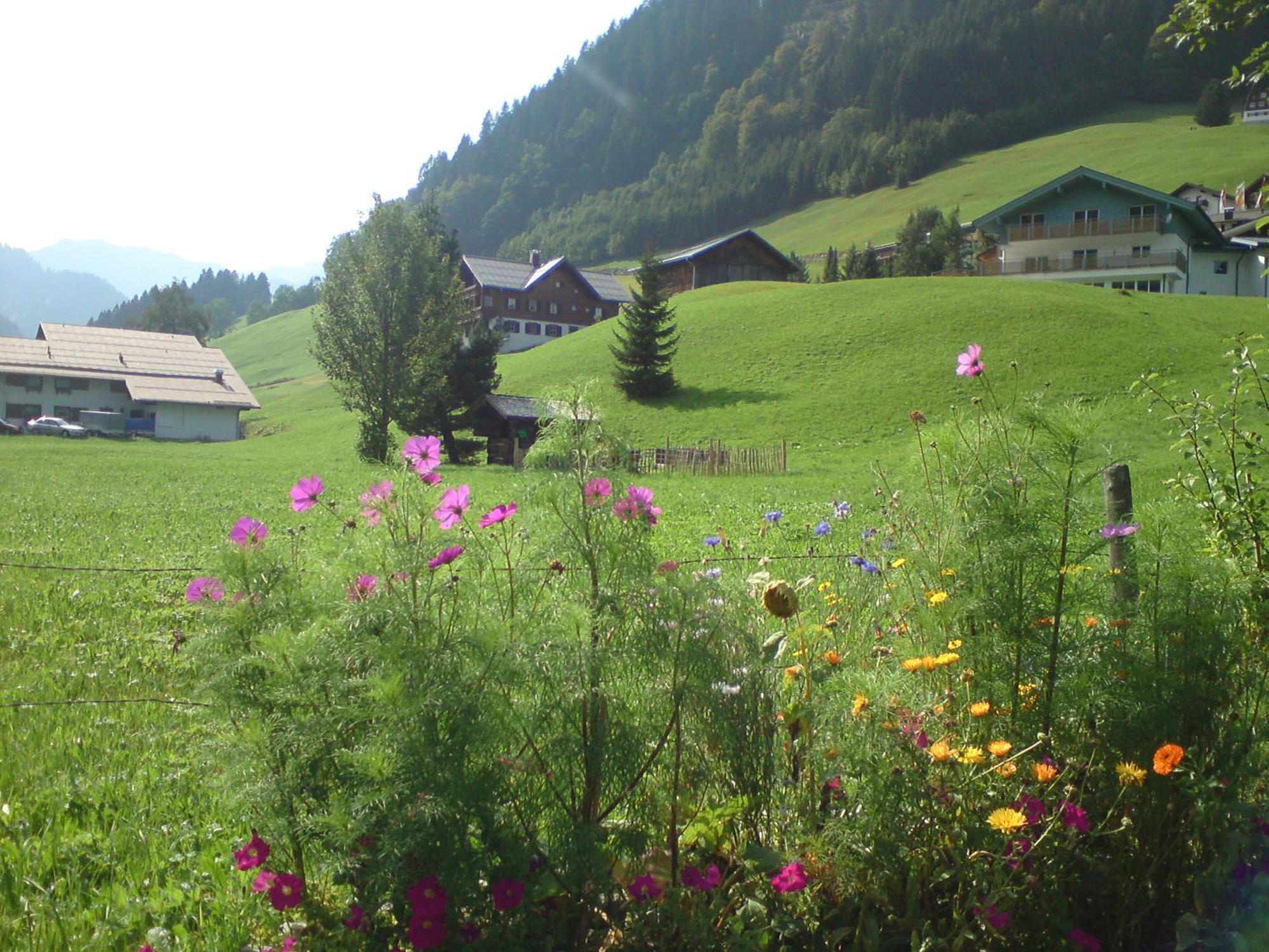 Schusterhof Villa Mittelberg Kültér fotó